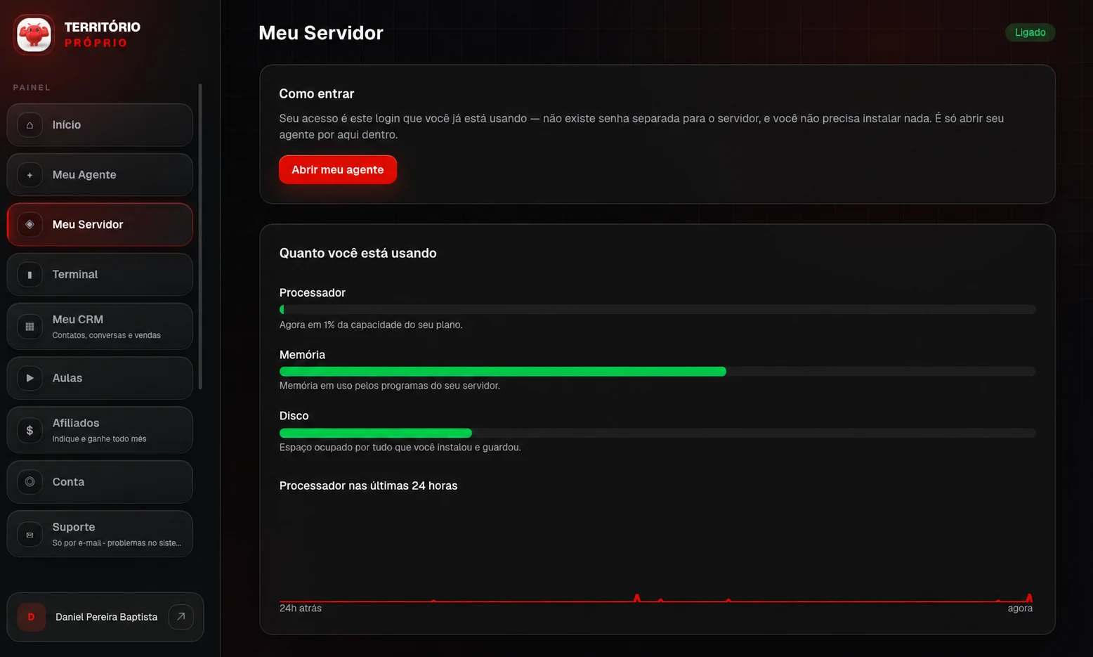 Painel real do servidor privado com consumo de processador, memória e disco